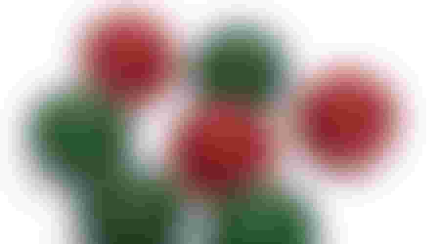 Complete Guide to Bocce Ball Sets How Many Balls Do You Need and What to Look For