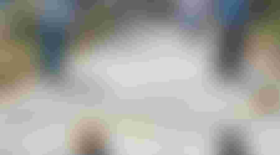 Bocce Ball Etiquette The Unwritten Rules and Courtesies Every Player