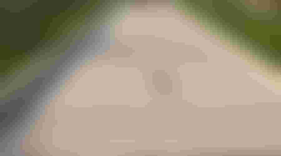 Official Bocce Ball Court Size Understanding the Standards for