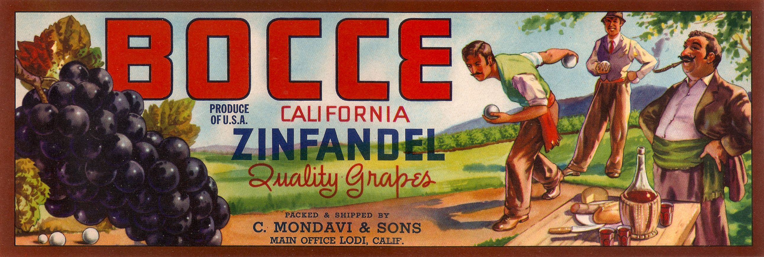 The Full Circle of Bocce How to Organize and Host a Bocce Ball Tournament