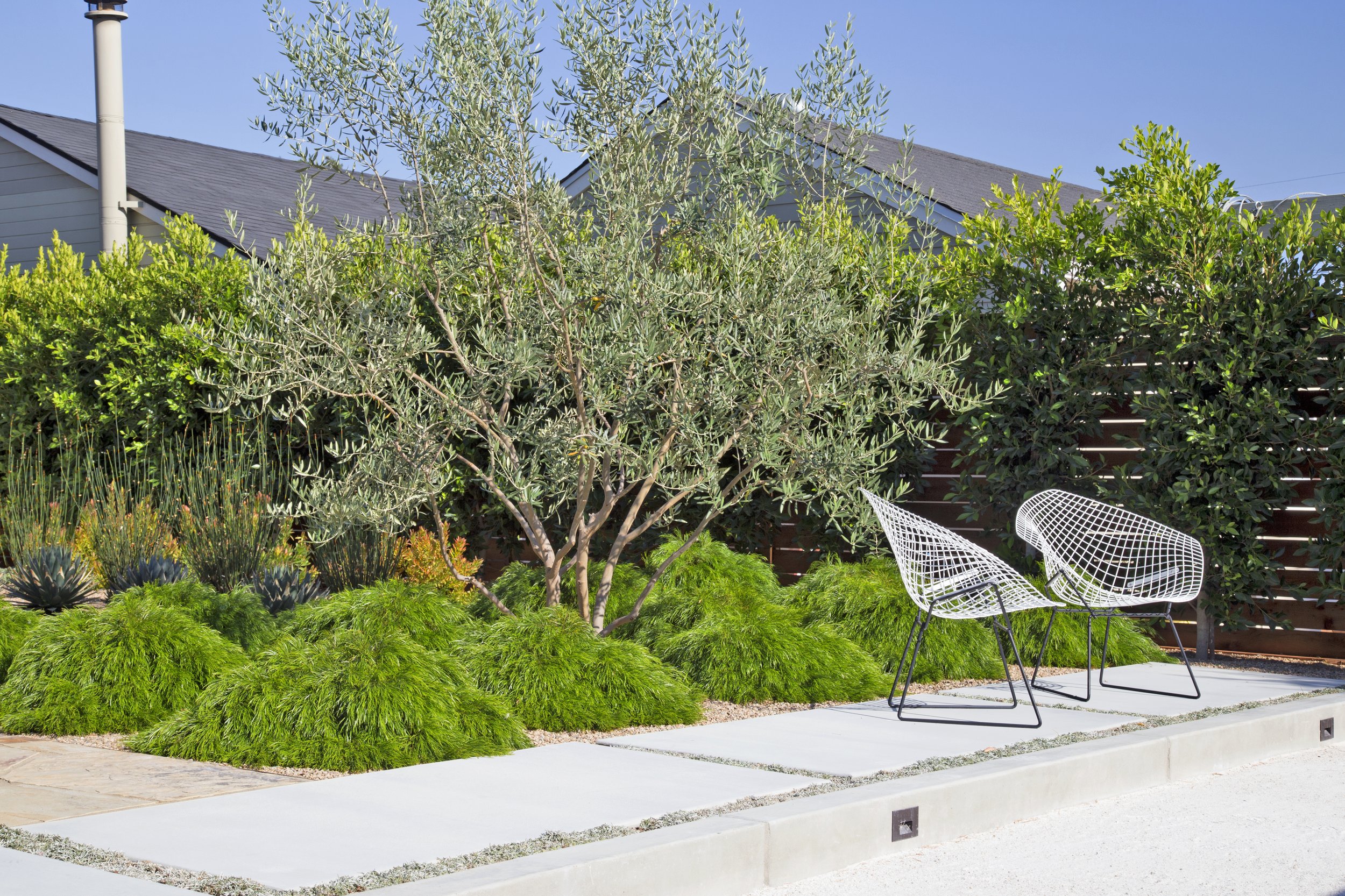 Tropical bocce ball court landscaping