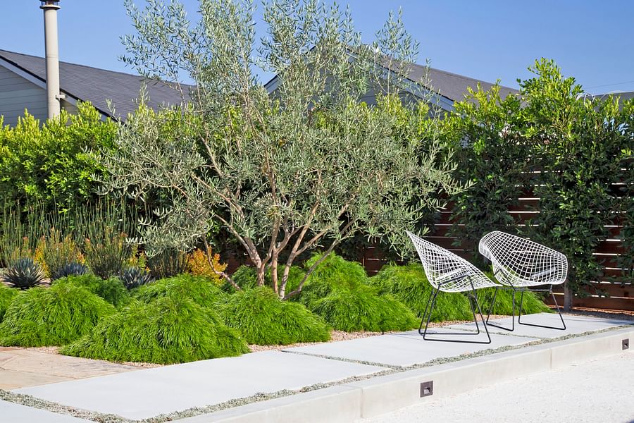 Tropical bocce ball court landscaping