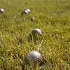 Unraveling the Mystery: What is the White Ball Called in Bocce Ball?
