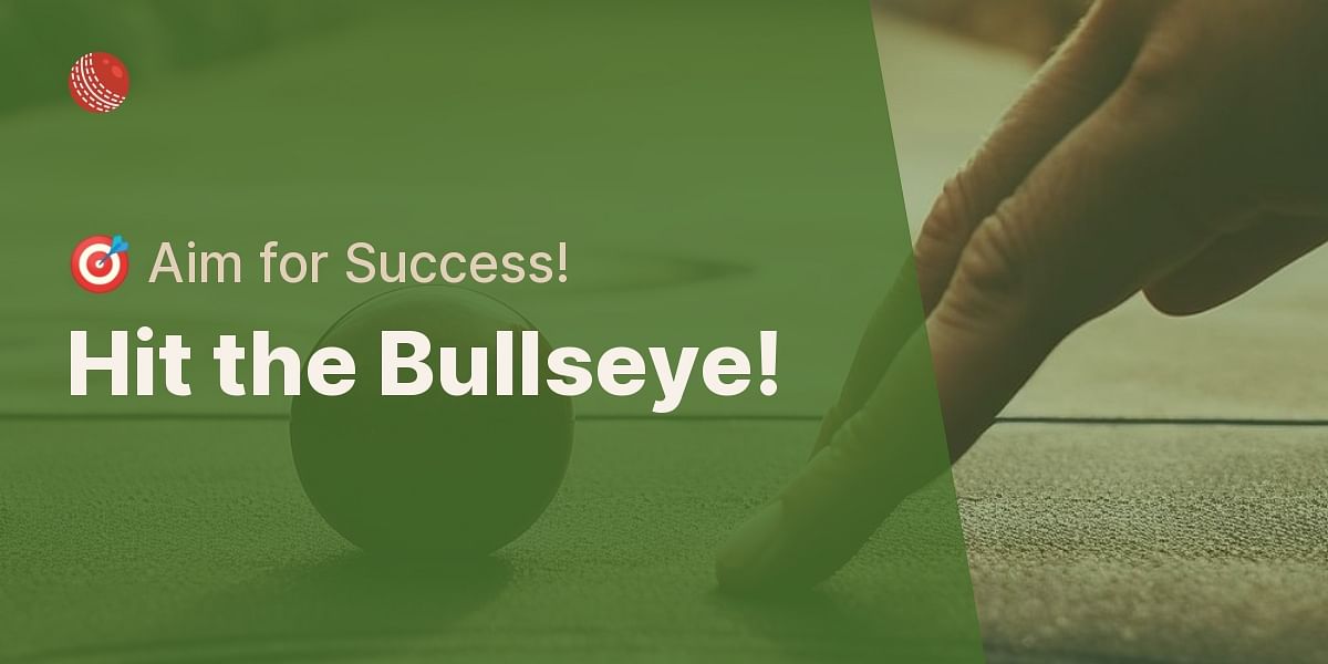 What is the name of the game where you have to throw balls into a target?